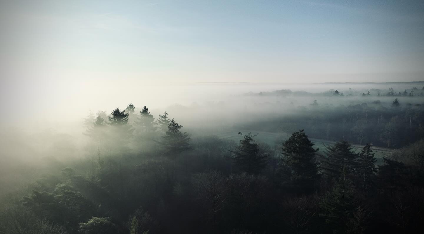 Lorem ipsum dolor sit amet consectetur